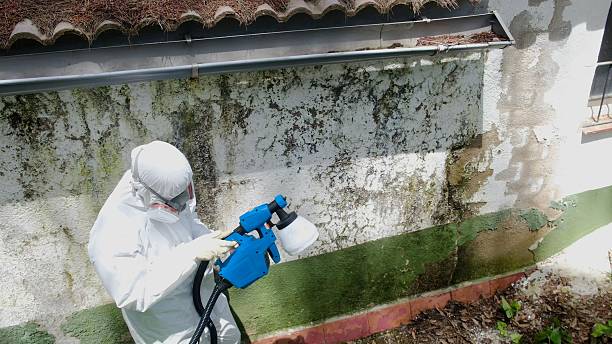 Top rated local Mold Remediation specialists in Manchester, KY
